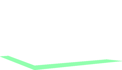 Ruth-Anne Ford